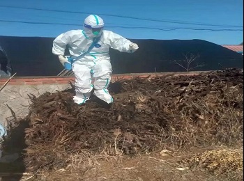 【战疫前线】蹲跳跑爬!他们不是运动员,是核酸采集员!